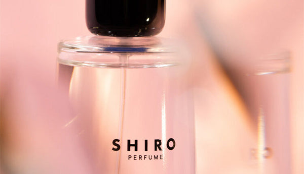 日本線上購物網「我的最愛」收藏數排行榜｜從大家都在關注的話題產品中，找出屬於我的「最愛」